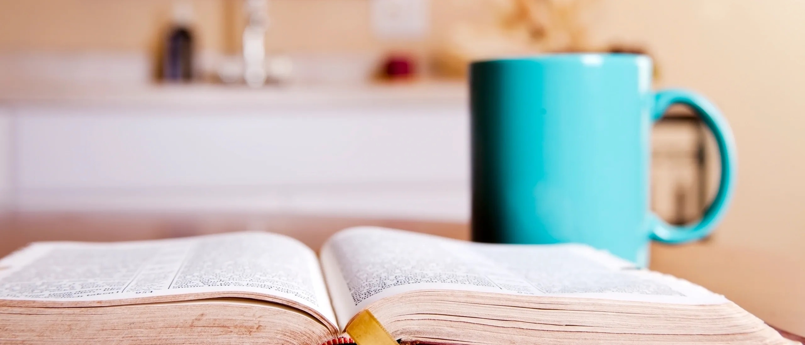 Open Bible in warm morning light